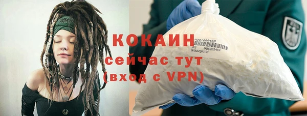 стаф Вяземский
