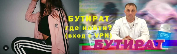 дмт Бородино