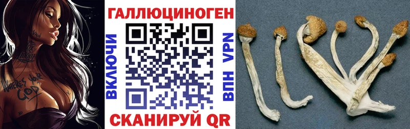Галлюциногенные грибы прущие грибы  Заволжье 